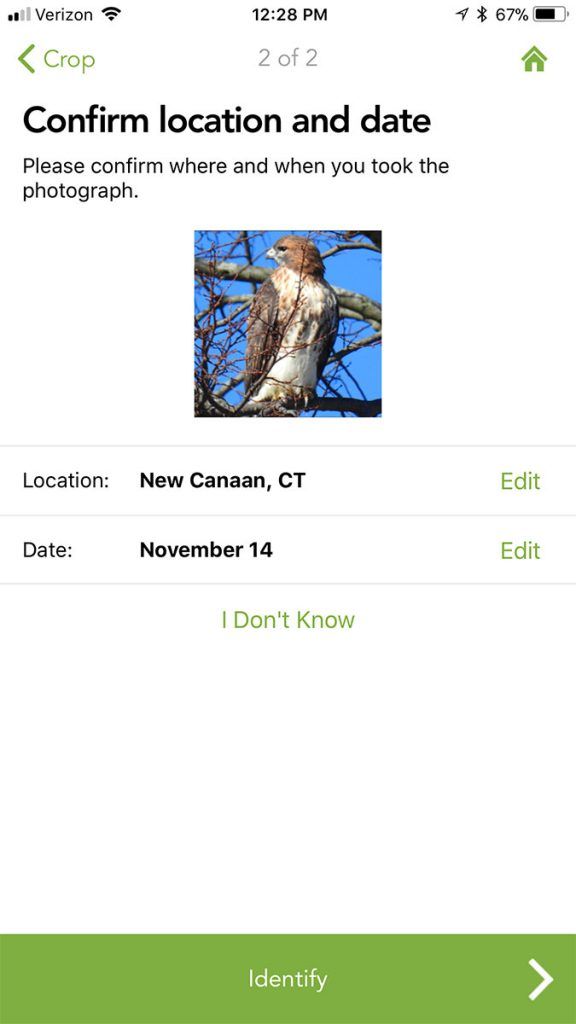 Hit IDENTIFY to ID your bird in a snap