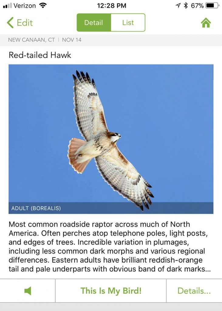 Click to learn more about your bird species