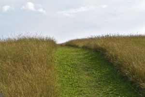 The half-mile trail leads uphill through open meadows abounding with birds to a 550-foot hilltop