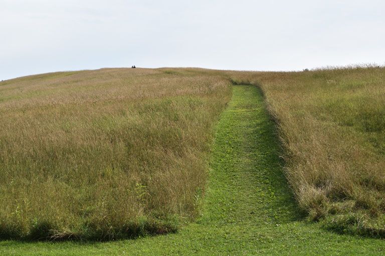 Half-mile trail leads uphill through open meadows to a 550-foot hilltop affording panoramic vistas