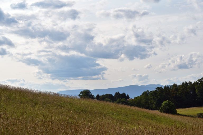 Drayton Grant Park at Burger Hill is one of the highest points in the town of Rhinebeck