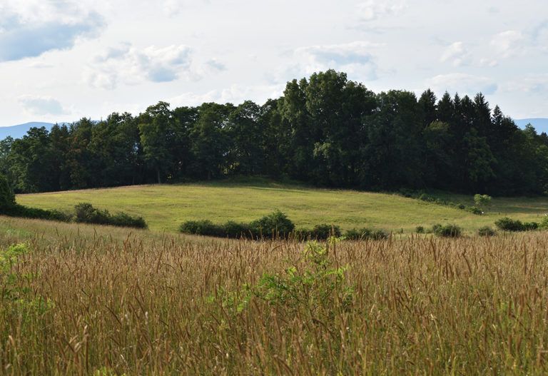 Sweeping view from Burger Hill