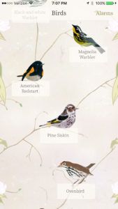 Or choose from 20 birds native northeastern US