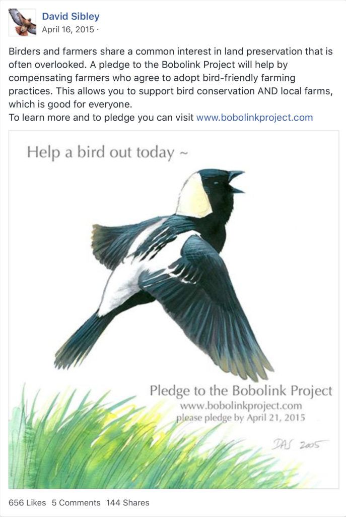 David Sibley, noted author of the Sibley Birds Guides encourages birders to support there Bobolink Project