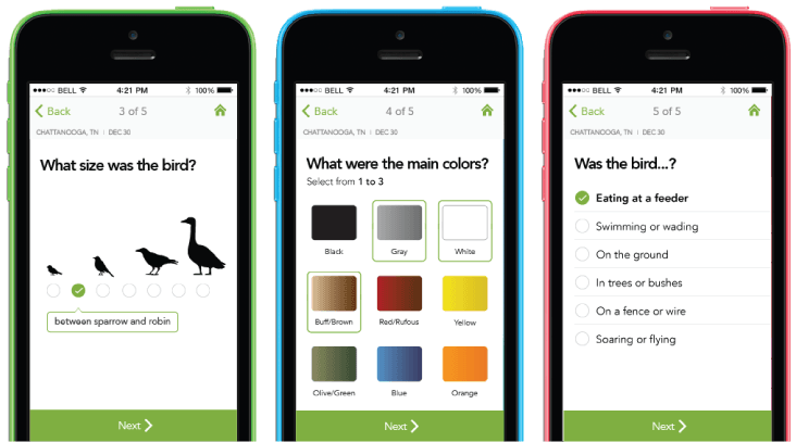 Merin Bird app makes bird ID a snap