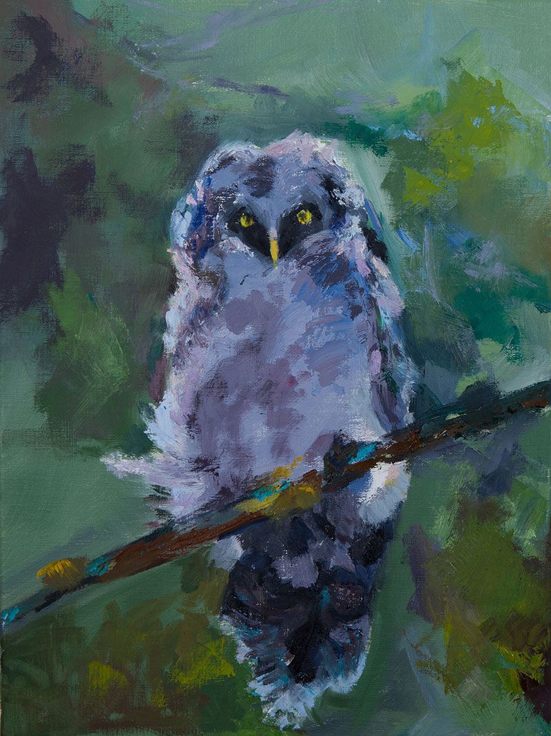 ‘Henry’ by Karen Kent (12” x 16” oil)