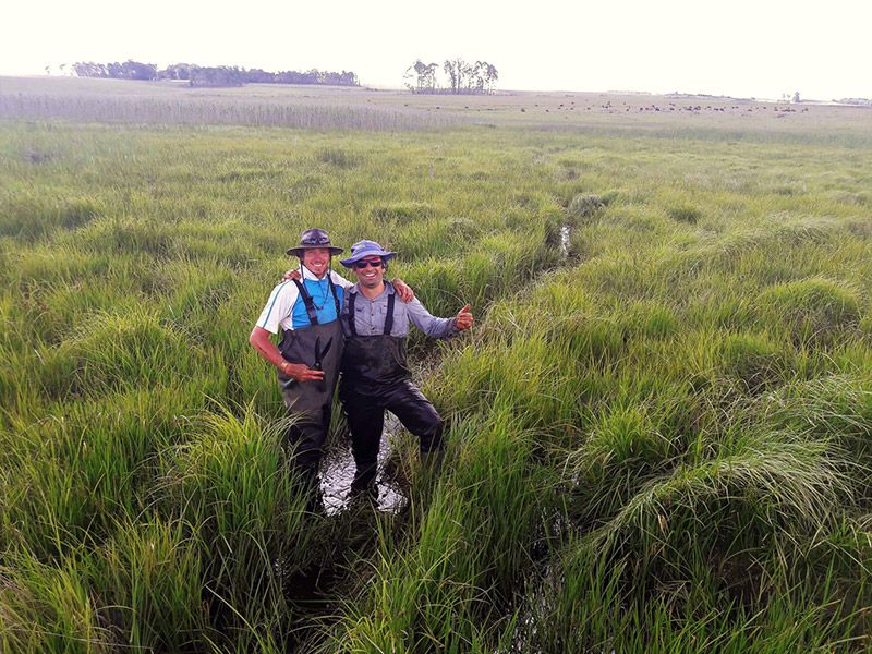 Robin Colyn and Alastair Campbell installed pioneering camera trap technology to record the Flufftail © Carina Coetzer