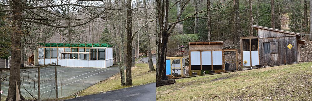 The aviaries have been weatherproofed to keep the birds comfortable in the cold temperatures