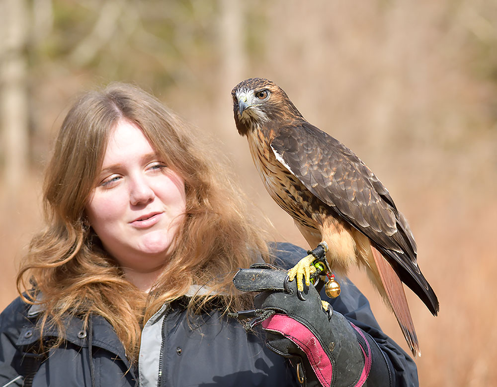 Prepare To Be Amazed Birds And Their Human Like Faces - dwsouft