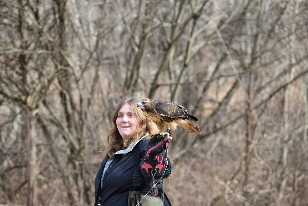 Christine and her falconry bird, a Red-tailed Hawk named Theron