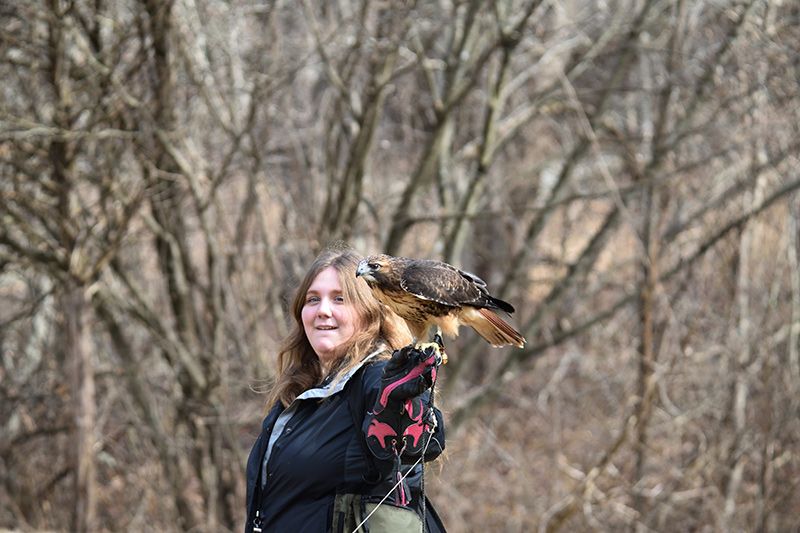 Christine and her falconry bird, a Red-tailed Hawk named Theron