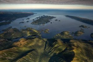Anchor Island in Fiordland National Park is one of a growing number of places in New Zealand that are predator-free. Scientists have established a kakapo breeding program in this safe haven. Photo credit: Stephen Belcher