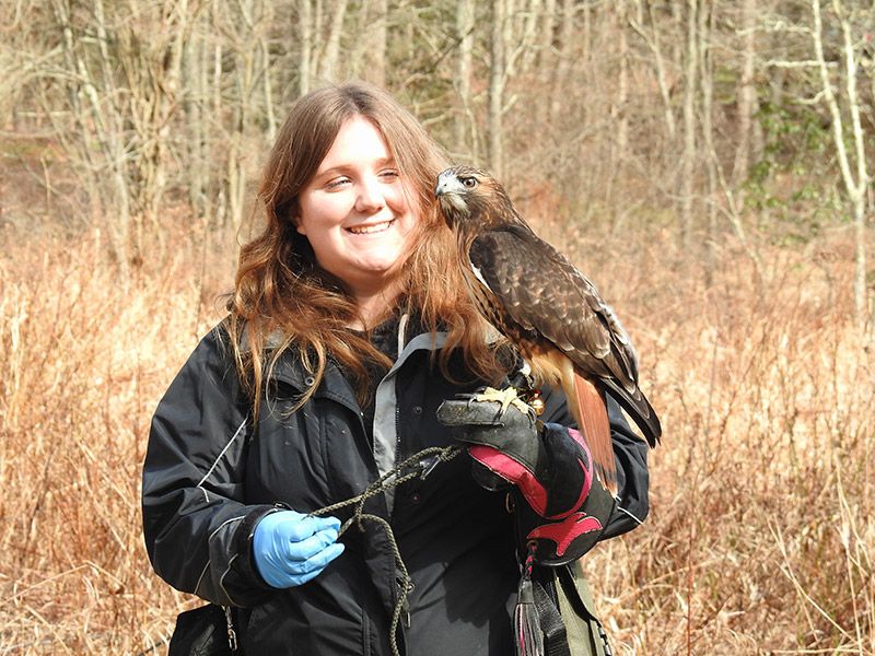 Female Falconer Gives Injured Birds of Prey Second Chance at Life in the Wild