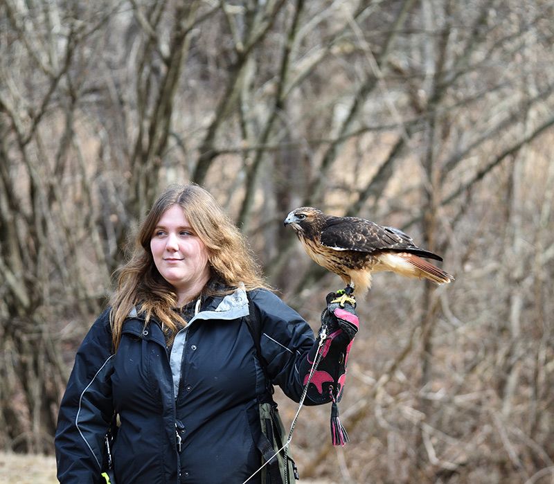 Female Falconer Gives Injured Birds of Prey Second Chance at Life in the Wild