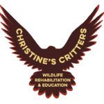 Christine’s Critters Inc. is a Wildlife Rehabilitation and Education non-profit