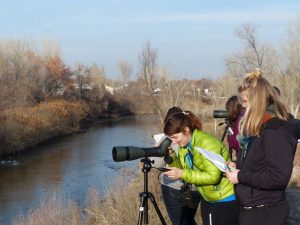 Students in an ornithology class birding on the Jordan River Parkway, Utah. Photo Credit: JJ Horns Birdwatchers’ Lists