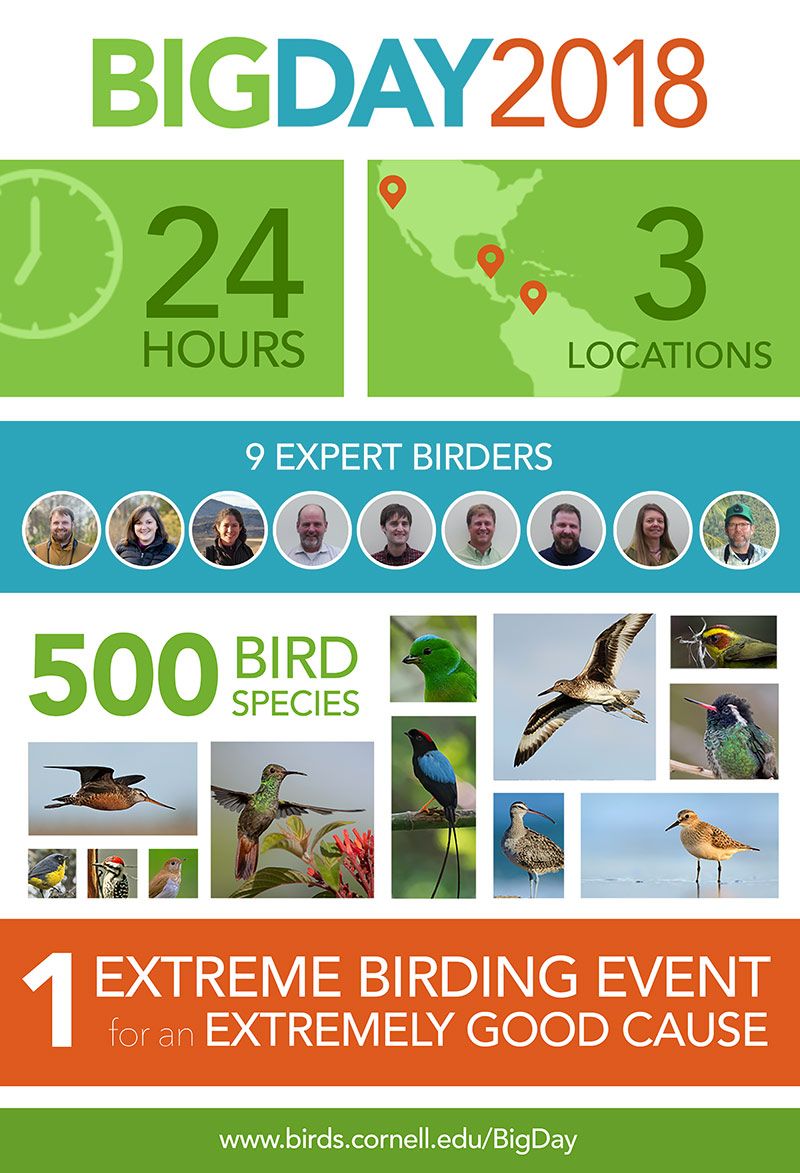 Big Day 2018: Join the quest on May 5 to tally birds for science and conservation