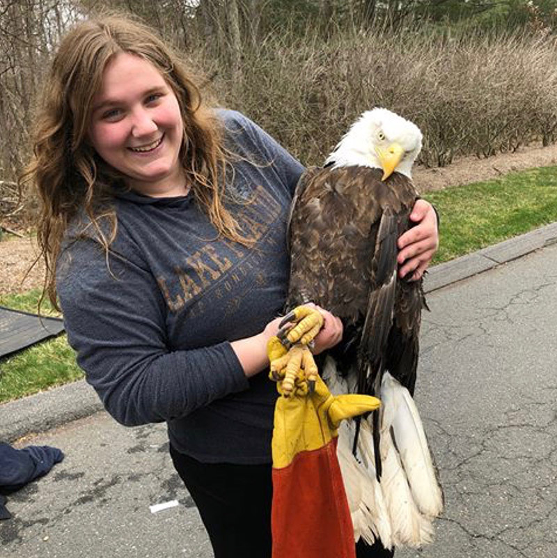Christine Peyreigne, owner and operator of Christine’s Critters with her newest rehab patient a female Bald Eagle