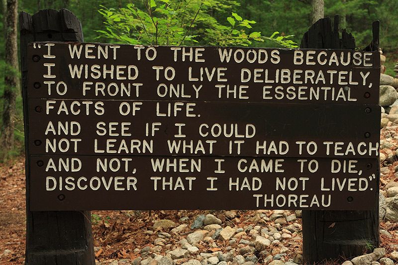 Henry David Thoreau said he could spend from dawn till noon sitting in his doorway surrounded by trees and birds