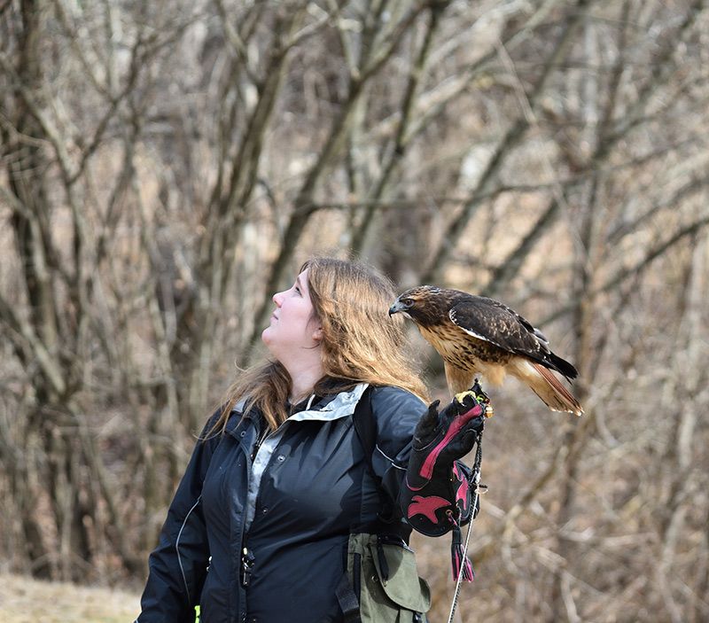 Christine spots other raptors soaring above and decides not to fly Theron to keep him safe