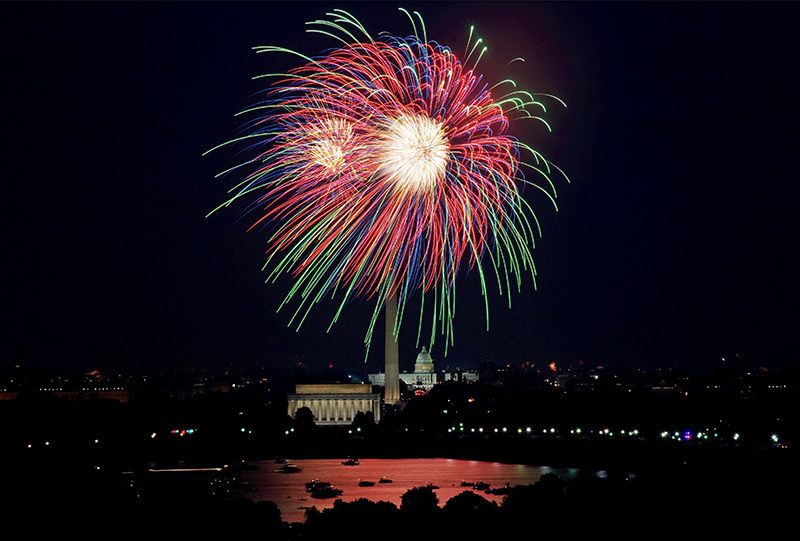 When celebrating with fireworks for the Fourth of July Celebrations consider the impact these vibrant explosions in the sky have on our birds.