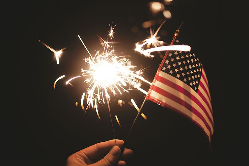 birds and fireworks