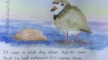 Watercolor Birds that Bring Streams of Laughter to Your Face