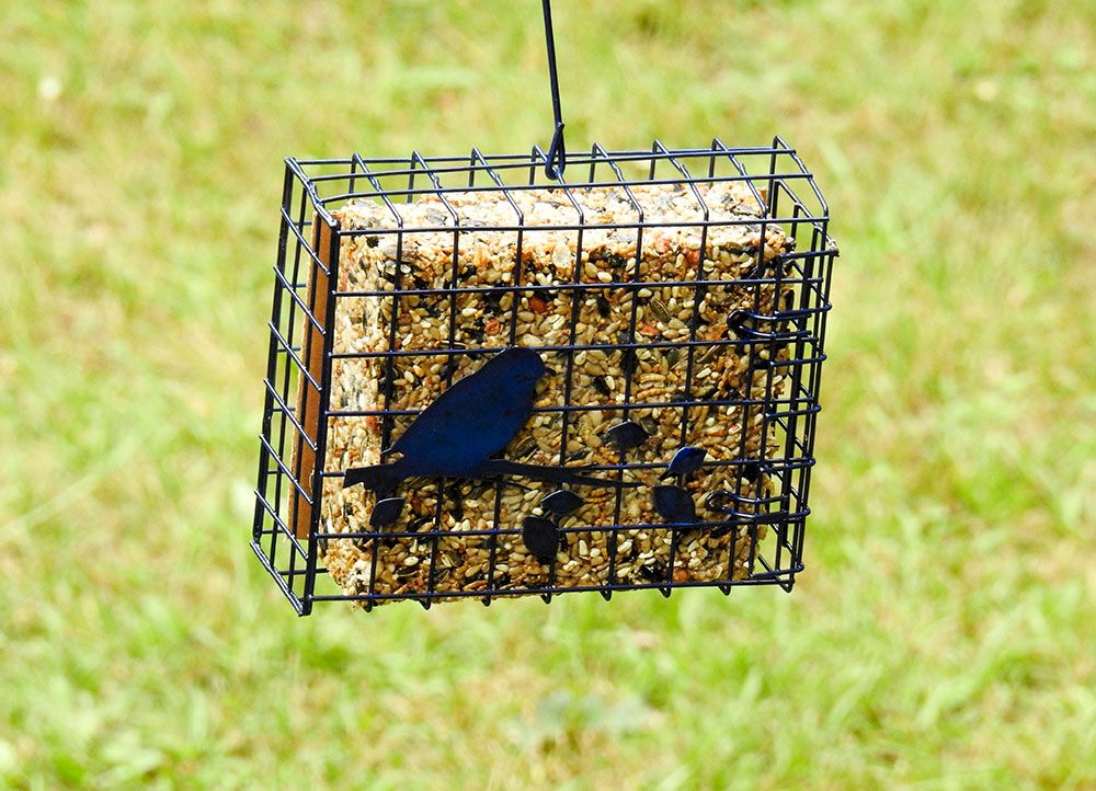Harvest Seed & Supply bird feeding kit is a magnet for birds