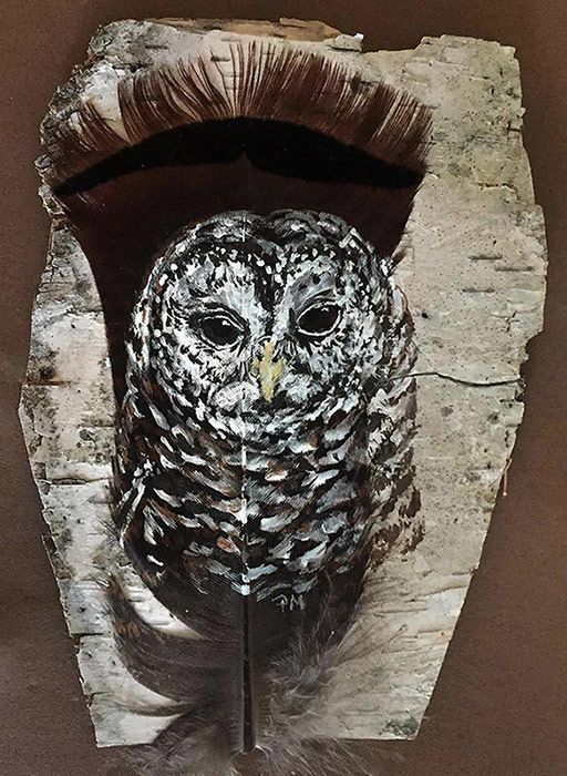 Barred Owl on turkey feather and birch bark