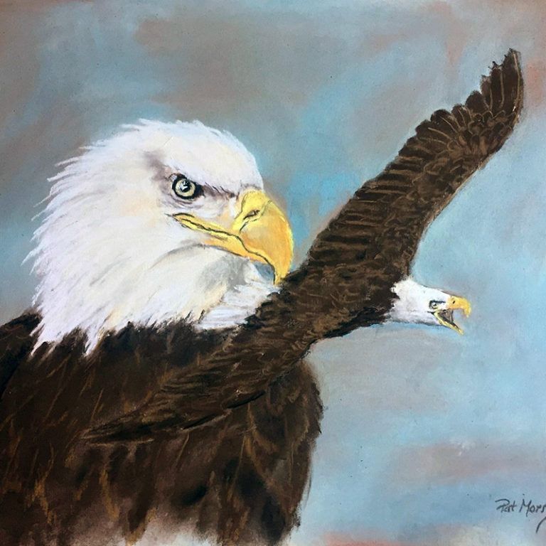Pat Morris created this painting of the the eagle to symbolize its release into the wild. Photo credit: Betsy Peyreigne