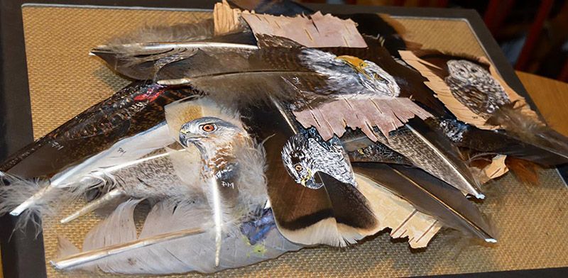 Pat uses feathers as her canvas