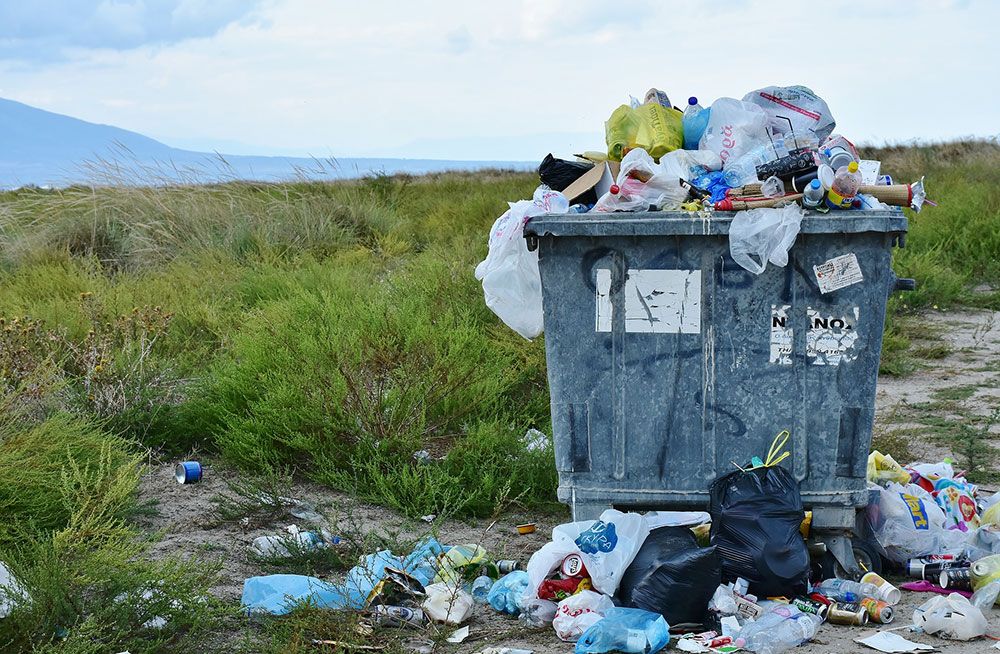 Plastic litter pollutes the environment. The only solution is to use less of it