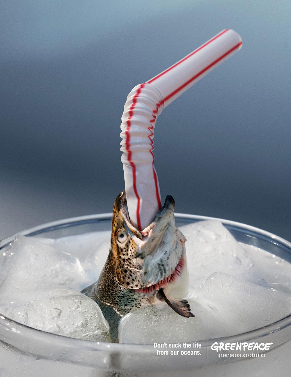 Greenpeace advertisement by Rethink, Canada - Fish