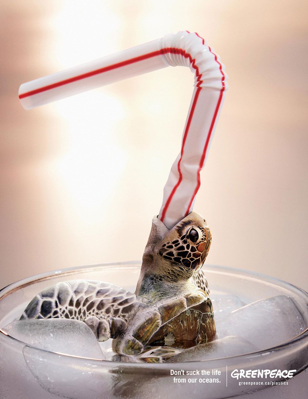 Greenpeace advertisement by Rethink, Canada - Turtle