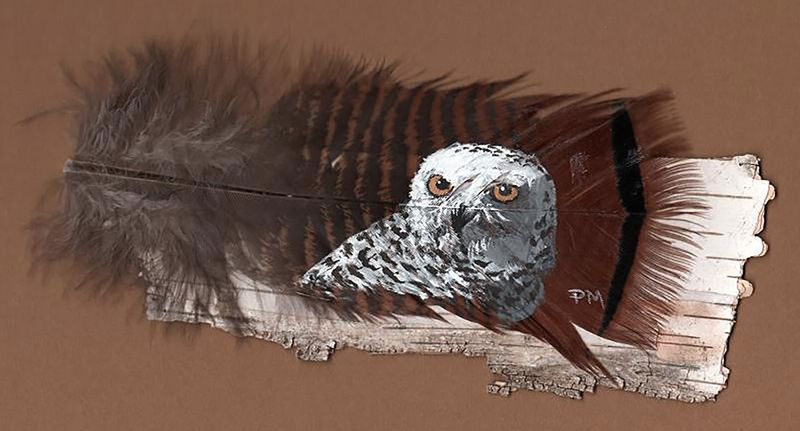 Snowy Owl on turkey feather and birch bark