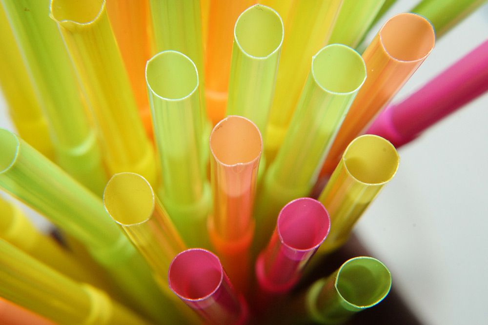 Drinking straws have one purpose: to help us consume a beverage. But these single use plastics create peril for birds and wildlife