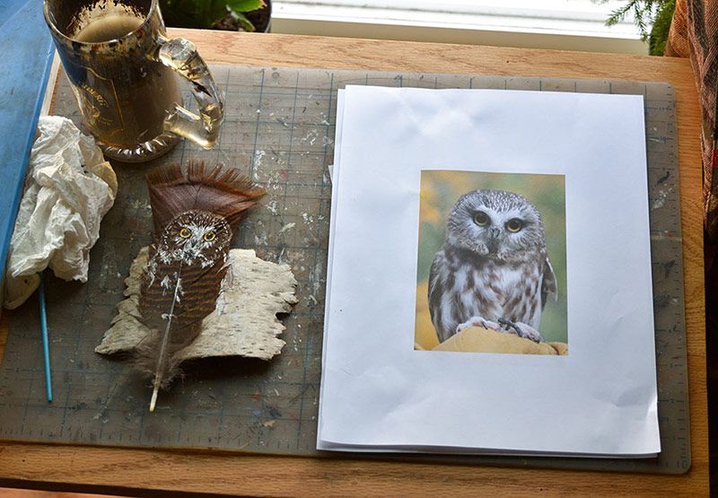 Pat's work in progress: a Northern Saw-whet owl