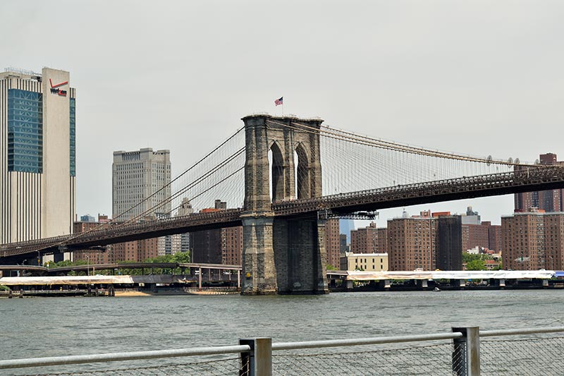 Heather's Book, 'Birding at the Bridge: In Search of Every Bird on the Brooklyn Waterfront' has become a field guide for Brooklyn Bridge Park