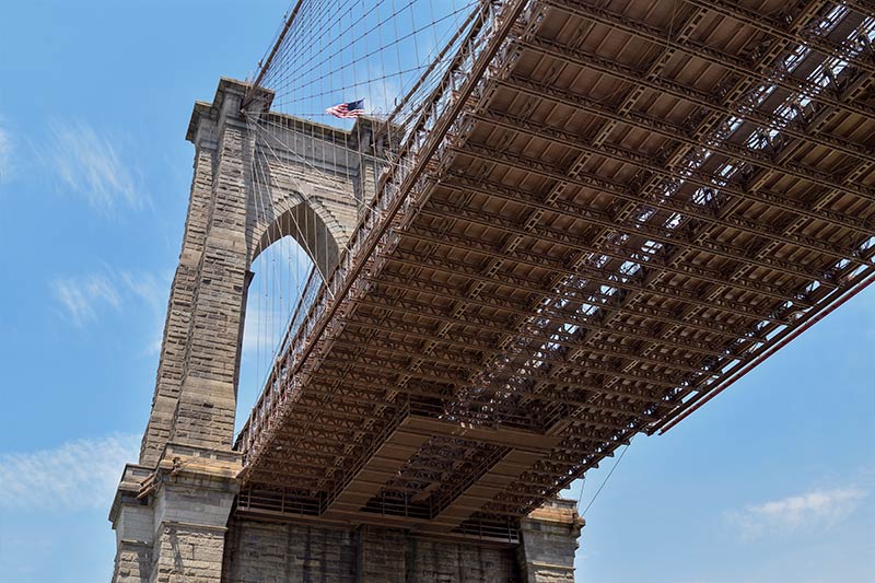 I was captivated about what kind of birds I could find at Brooklyn Bridge Park