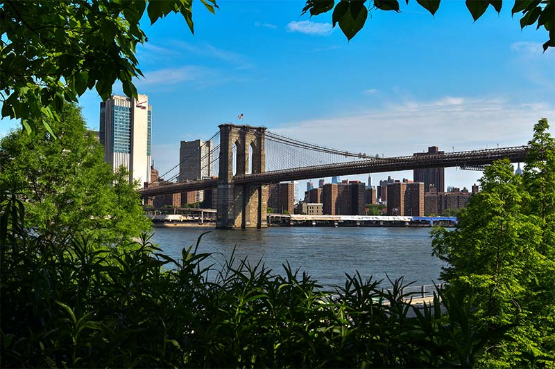 Brooklyn Bridge Park offers breathtaking views of the Brooklyn Bridge