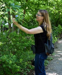 She knows a great deal about her local habitat and trees because they tie in with patch birding