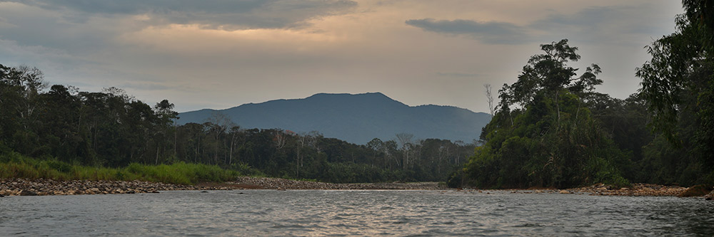 Freeman led the resurvey of Cerro de Pantiacolla, a 4,640-foot (1,415m) ridge in southern Peru. Photo by Graham Montgomery