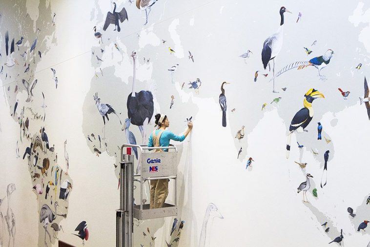 Painting the Wall of Birds mural at the Cornell Lab of Ornithology. Photo by Shailee Shah