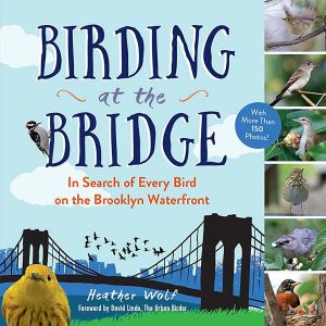 Heather Wolf is the incredible talent behind the book, Birding at the Bridge: In Search of Every Bird on the Brooklyn Waterfront
