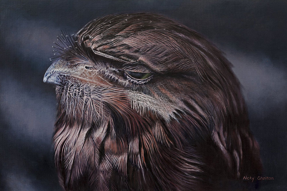 'Fergus' – Australian Tawny Frogmouth painted in oils on canvas board by Nicky Shelton