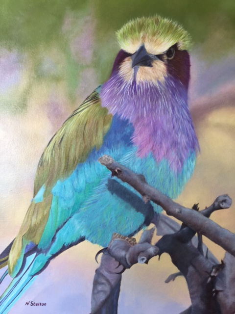 'Lilly' - South African Lilac Breasted Roller oil on canvas board by Nicky Shelton