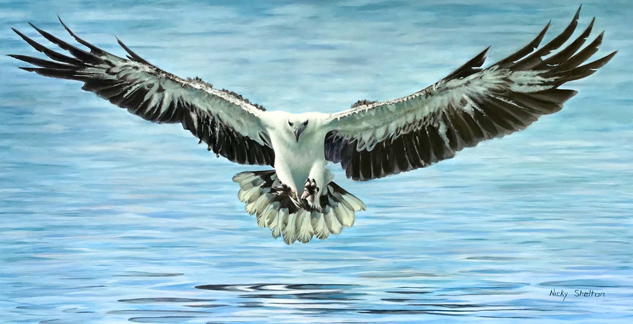 'The Catch' - White-bellied Sea Eagle painted in oils (76x153cm)