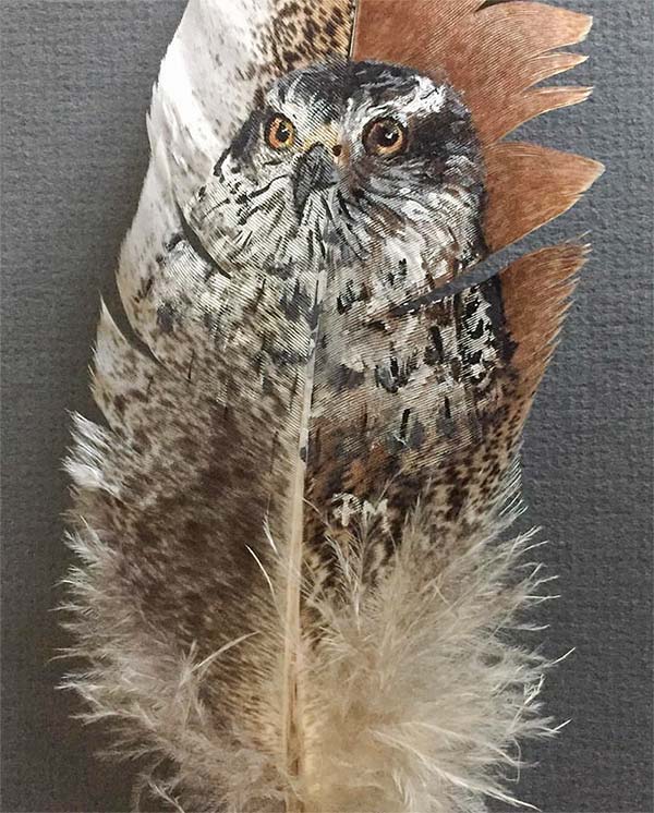 Northern Goshawk painted on a turkey feather by Pat Morris