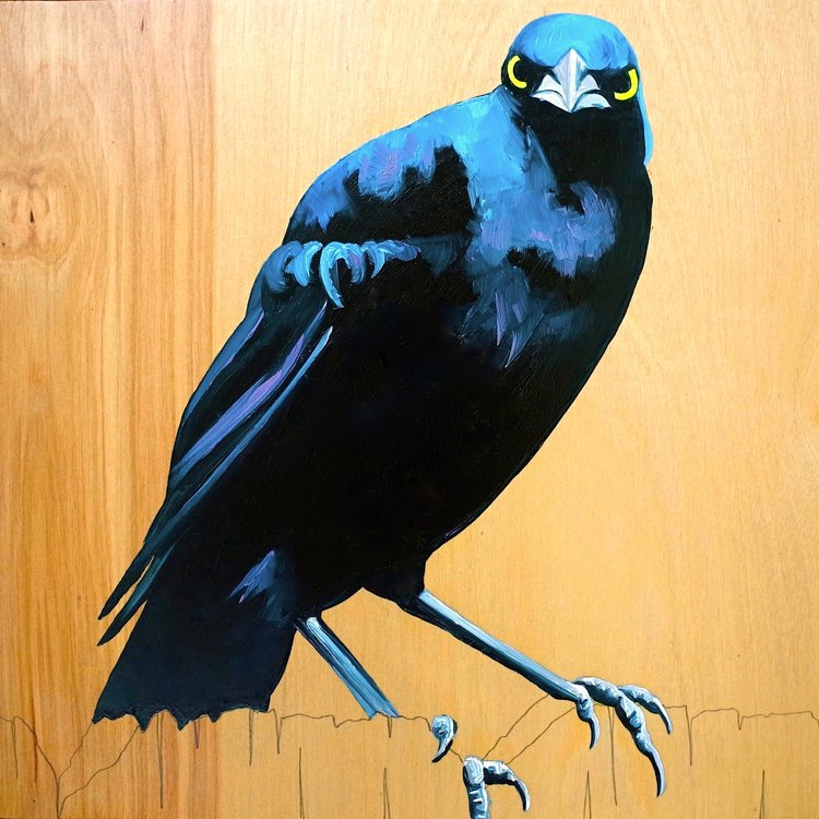 Grackle # 3 by Carly Weaver