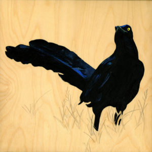 Grackle #30 by Carly Weaver